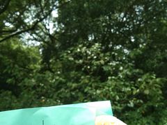 -南宋胡记(杭州灵隐寺店)