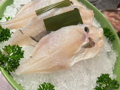 -朱光玉火锅馆(龙阳广场店)