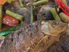 -椿记烧鹅(叠彩店)