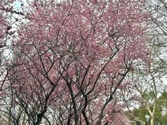 -笨罗卜浏阳菜馆(太平街店)