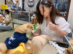 -逗柴咖啡屋·狗咖猫咖宠物桌游