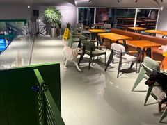 -爪吧宠物乐园 (温榆河示范区店)