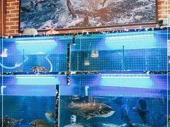 -姜君·千岛湖鱼头馆(浦东大道店)