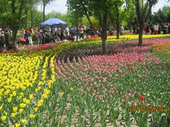 照片&nbsp;014-长春公园(普阳街道)