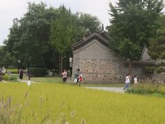 -北坞公园