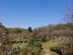 -南京市江宁方山