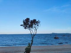 -黄金海岸环岛路