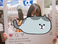 -成都濑川外国语学校