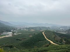 -龙坞茶村