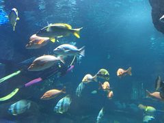 -石家庄海洋公园