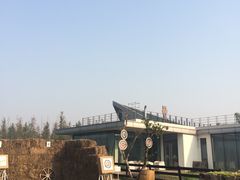 -田园东方蜜桃村的田野营地