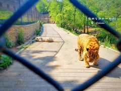 -大连森林动物园