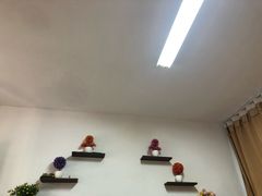-手道盲人按摩中心