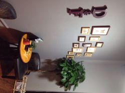 DF色彩沙龙-M hair salon
