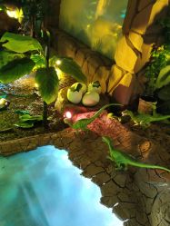 -恐龙探索乐园(磁器口店)