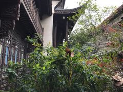 -胡雪岩故居