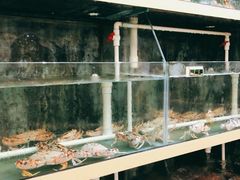 -悦来酒家·正宗闽南菜(西街店)