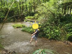 -桤木河湿地公园