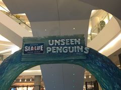 -暹罗海洋世界