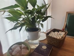 -芳香乐府疗愈空间·SPA·冥想