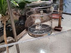-新世纪绿洲(抚顺店)