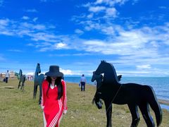-青海湖国家重点风景名胜区