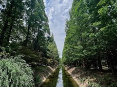 -东平国家森林公园