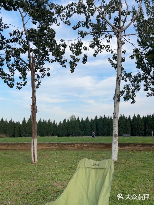 汉长安城未央宫国家考古遗址公园图片