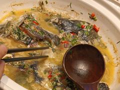 -老傅家湘潭水煮活鱼店(众一国际店)