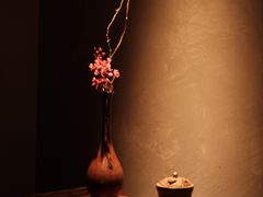 -觀芷隐轩