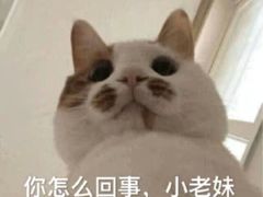 -东瓯大酒店(温州梧田老街店)