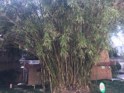 -杰爱月子护理中心