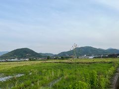 -四明湖