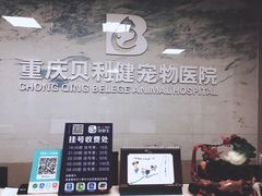 -宠颐生贝利健动物医院(谢家湾分院)