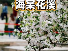 -海棠花溪(元大都城垣遗址公园)