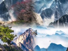 -华山风景名胜区
