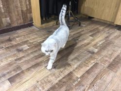 -青木造型HAIR·あおき髪を刈る潮人店