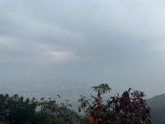 -缙云山景区