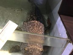 -天鹰观渔(梦园店)