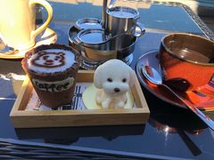 -时光吧·大堂吧·丽江和府洲际度假酒店