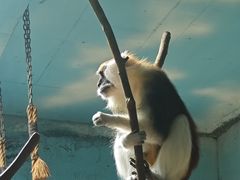 -济南野生动物世界