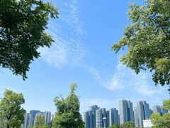 -牛岗山公园