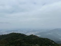 -梧桐山风景名胜区