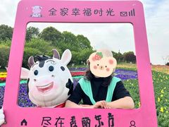 -秀丽东方