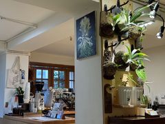 -本無咖啡·BeanWood Coffee