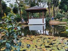 -深圳国际园林花卉博览园