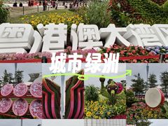 -海心沙亚运公园