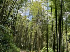 -千泷沟大瀑布旅游区
