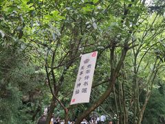 -青城山