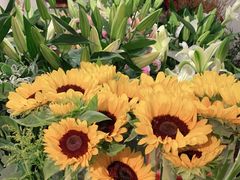 -FEI FEI FLOWER鲜花店·气球派对·宝宝宴布置(虹口德必运动Loft店)